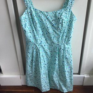 Birds of North America "Starfrontlet" dress